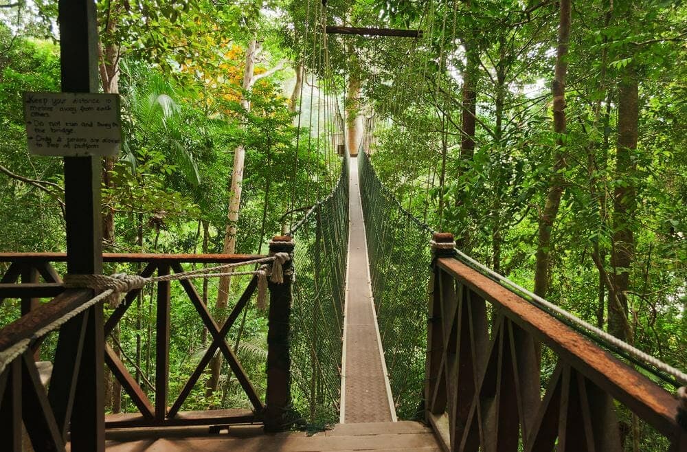 From Kuala Lumpur: Full-Day Taman Negara National Park